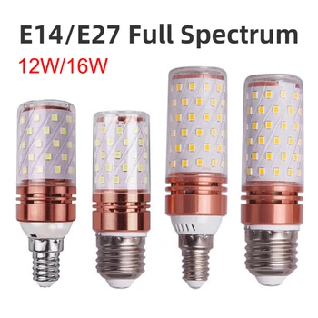E27 LED Lampa 220V LED Žiarovka SMD2835 E14 celé Spektrum Kukurica Žiarovky do Reflektora 3 Farby bombilla Domov Energeticky Úsporné Svetlo