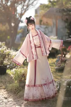Čínsky Štýl, Tradičné Oblečenie Žien Dynastie Ming Denne Hanfu Víla Cosplay Hanfu Ľudové Tanečné Šaty Kvetinové Výšivky Hanfu