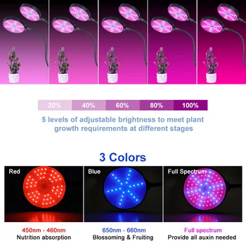 Led Rásť Svetlo Phyto Lampa Pre Rastliny Hydroponics Rastúci Systém Skleníkových Phytolamp Krytý Klip Vodotesný S Ovládať Časovanie
